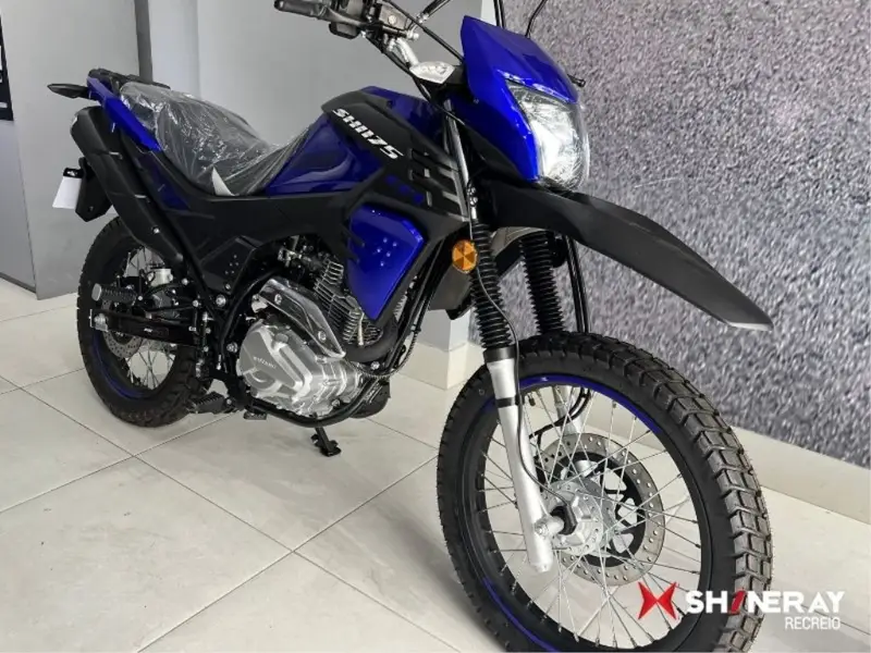 Shineray EFI