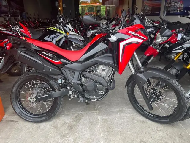 Carro Honda XRE Sahara 300 2024 Rally