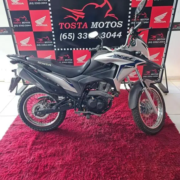Carro Honda XRE 300 2019 Rally (Flex)