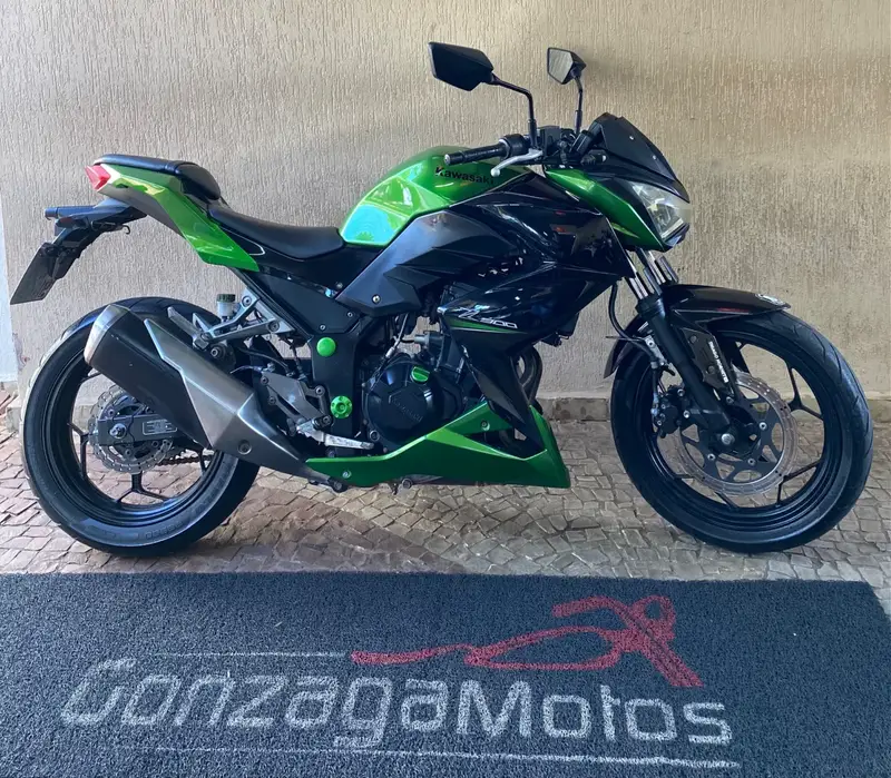 Kawasaki Z 300 Z 300