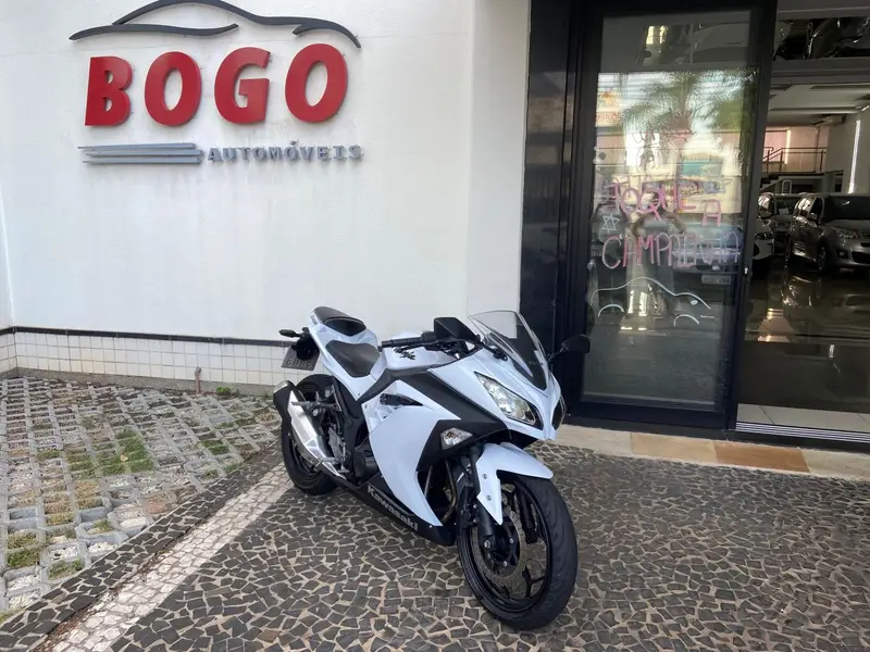 Kawasaki Ninja 300