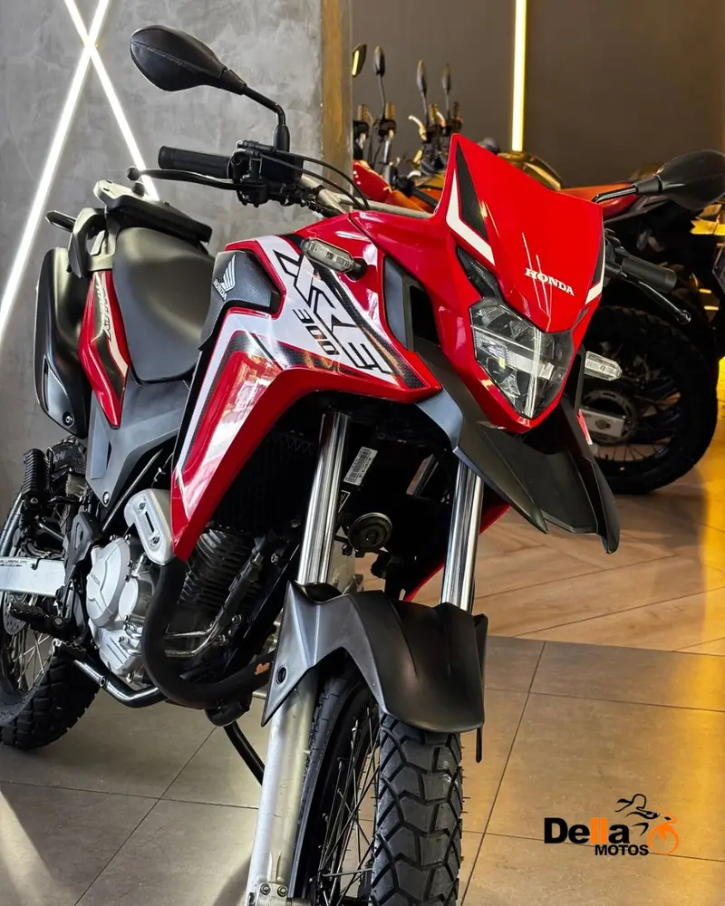 Honda XRE 300 (ABS) (Flex)