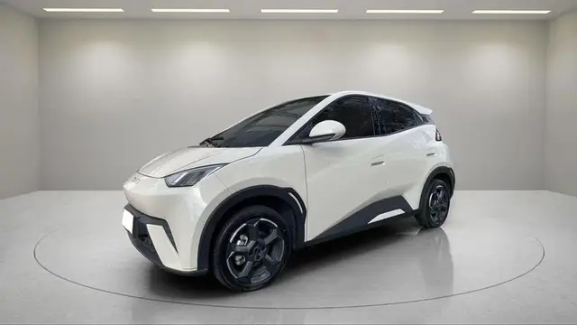 Carro BYD Dolphin Mini 2025 Elétrico
