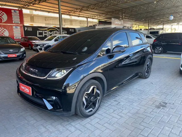 Carro BYD Dolphin 2024 EV