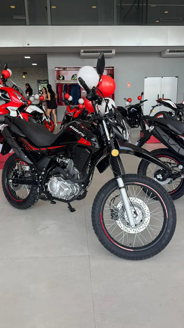 Carro Shineray SHI 175 2025 EFI