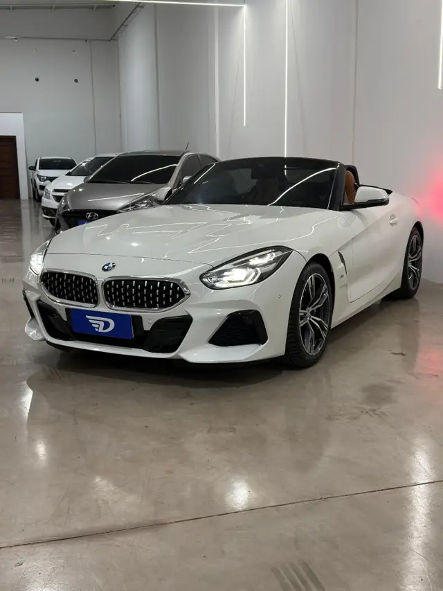 Carro BMW Z4 2019 2.0 sDrive30i M Sport (Aut)