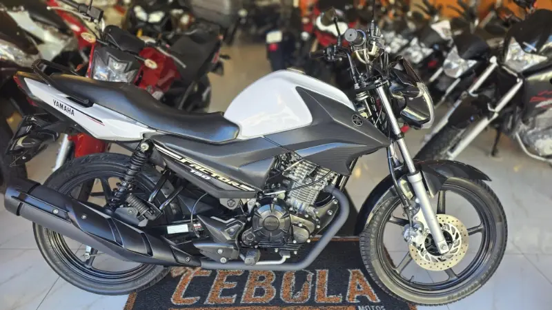 Yamaha YBR 150 Factor ED (Flex)