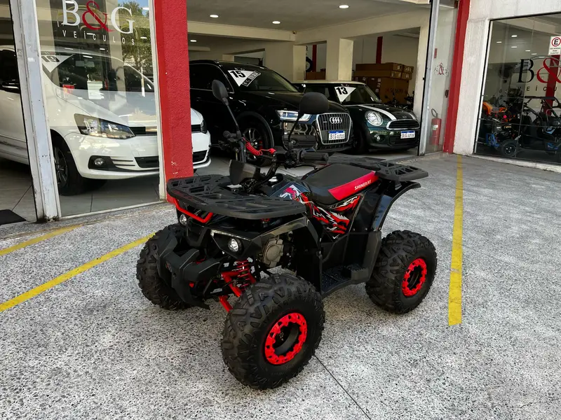 Shineray 124 cc