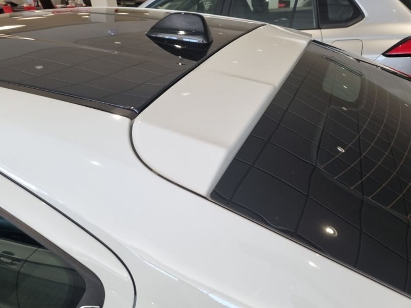 Fastback Limited Edition