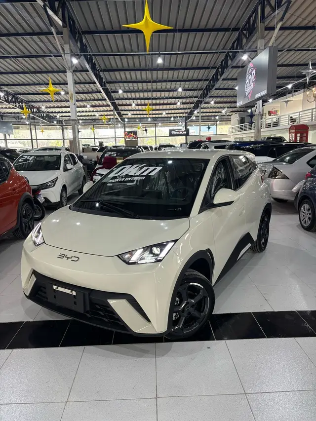 Carro BYD Dolphin Mini 2025 EV