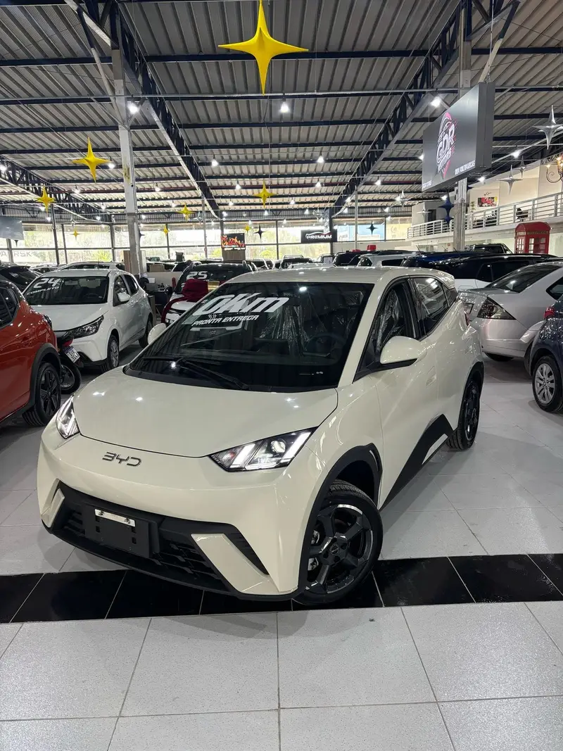 BYD EV