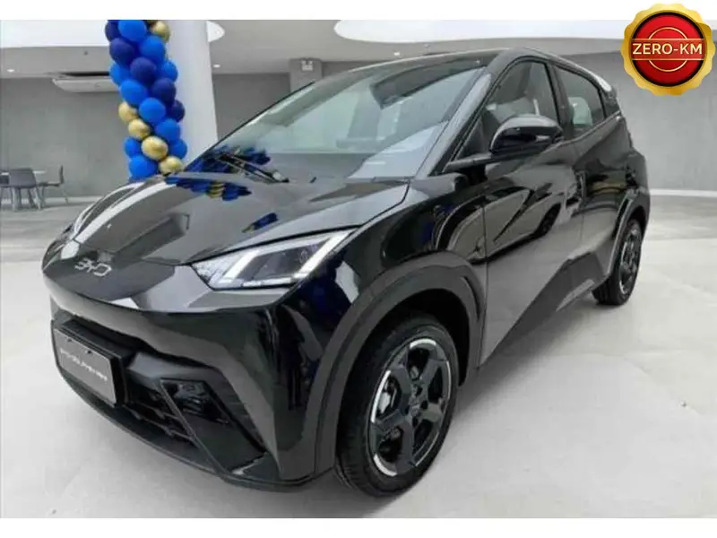 BYD Dolphin Mini Elétrico