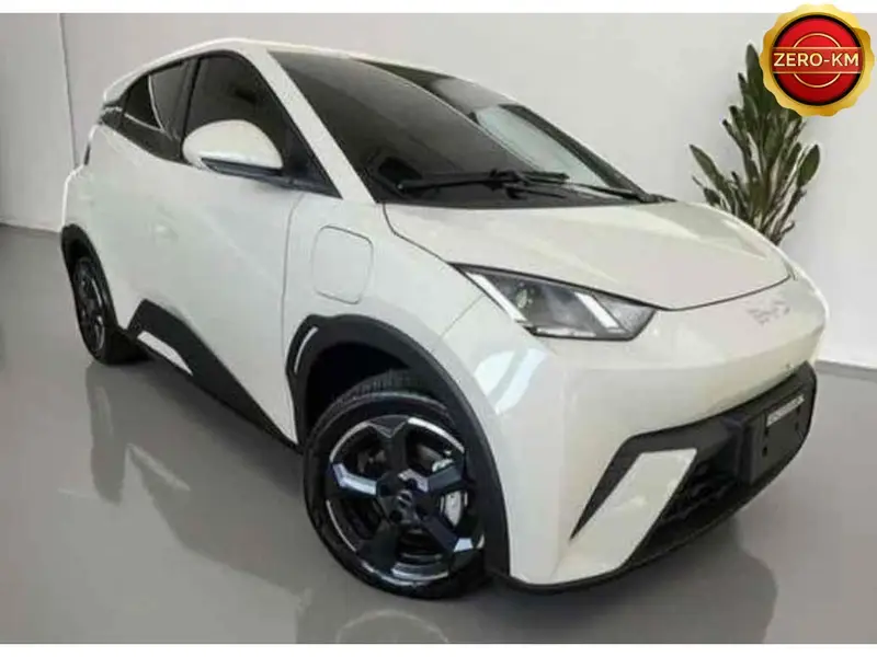 BYD Dolphin Mini EV