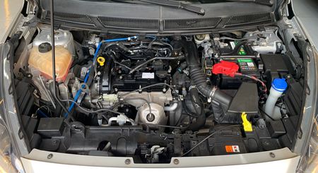 Ka 1.0 SE (Flex)