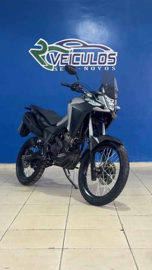 Carro Honda XRE Sahara 300 2024 ABS