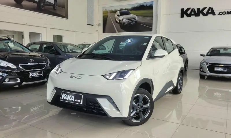 BYD Dolphin Mini EV