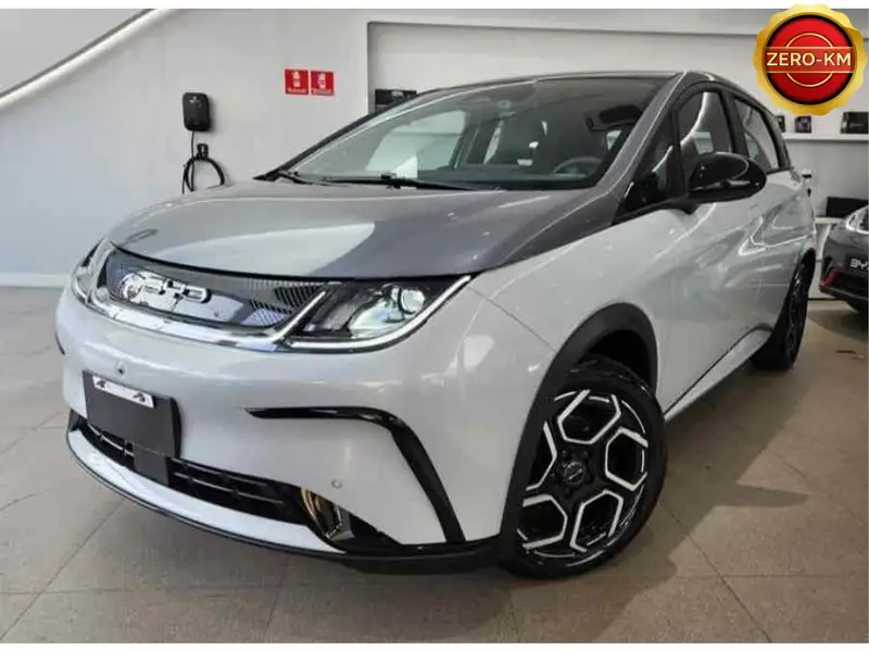 BYD Dolphin Plus