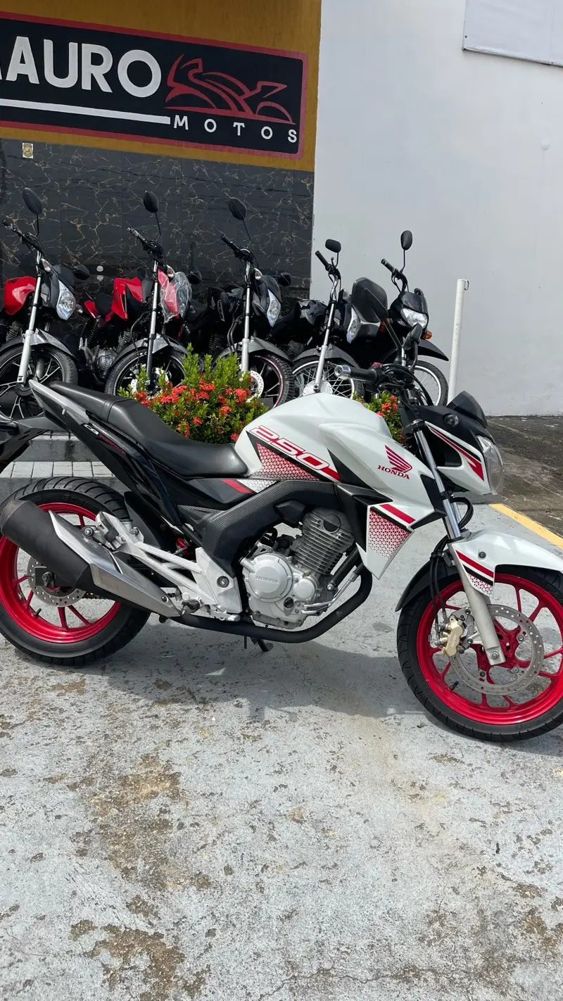 Honda (CBS)