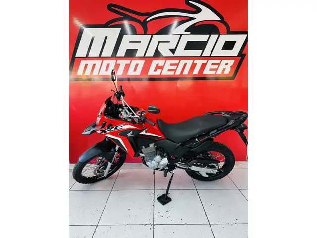 Carro Honda XRE 300 2019 (ABS) (Flex)