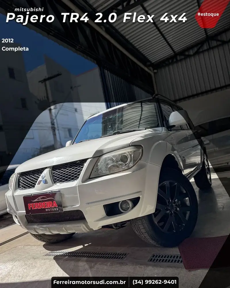 Mitsubishi Pajero TR4 2.0 16V 4X4 (Flex) (Aut)