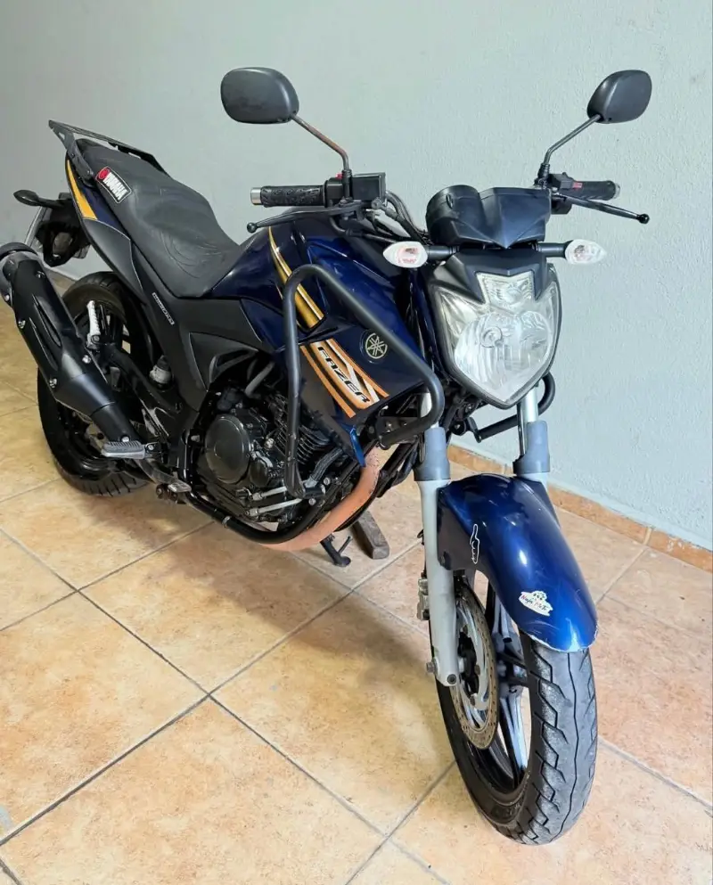 Yamaha YS 250 Fazer FAZER L. EDITION /BLUEFLEX