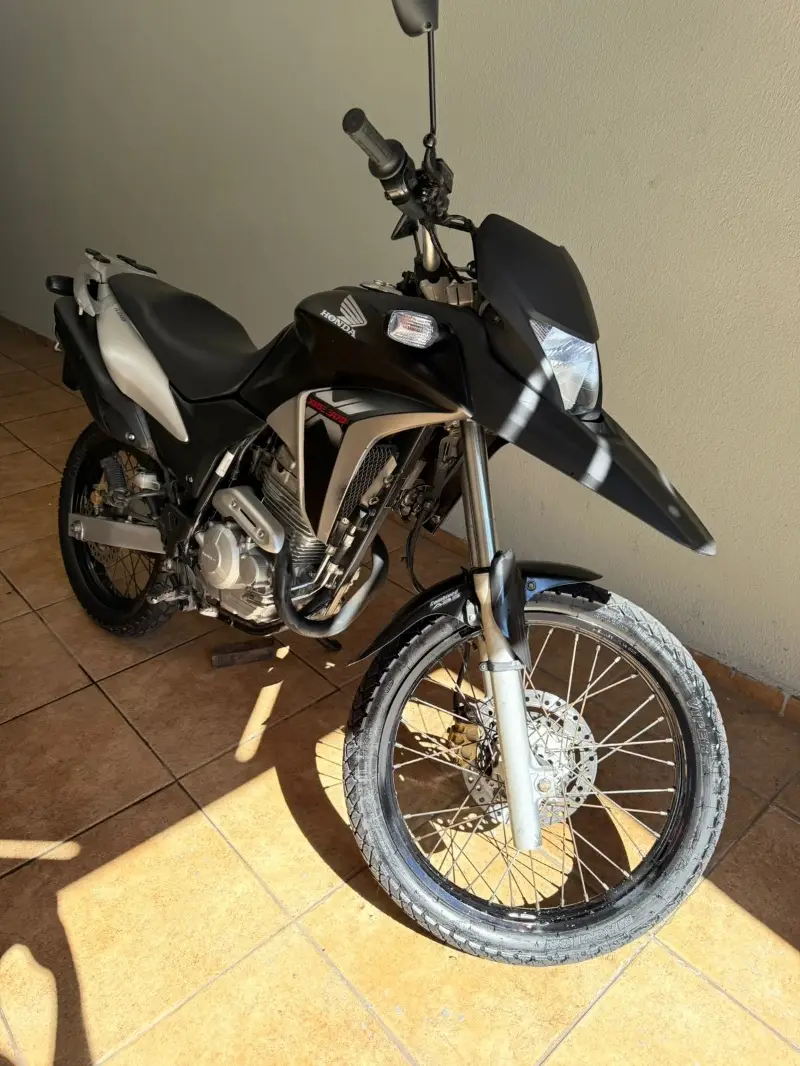 Honda XRE 300 (ABS) (Flex)
