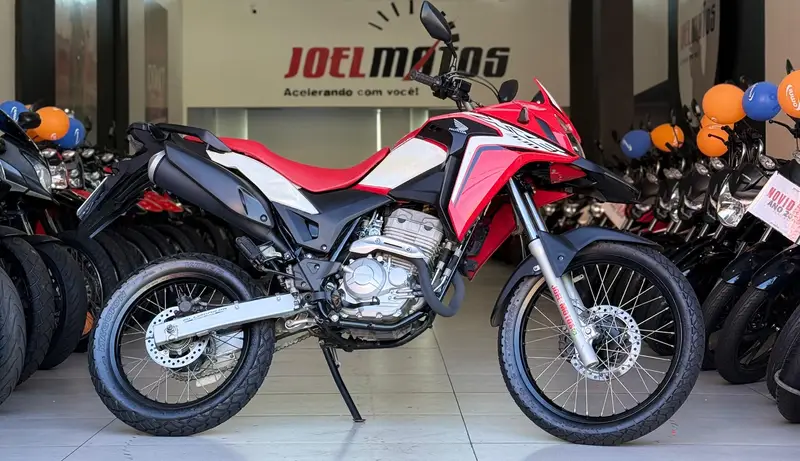 Honda XRE 300 (ABS) (Flex)