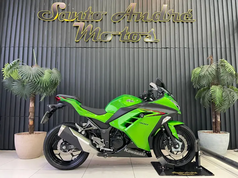 Kawasaki Ninja 300