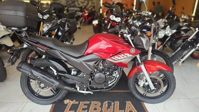 Yamaha YS 250 Fazer FAZER L. EDITION /BLUEFLEX
