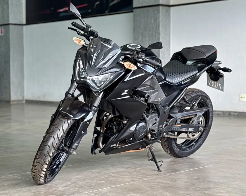 Kawasaki Z 300 296cc