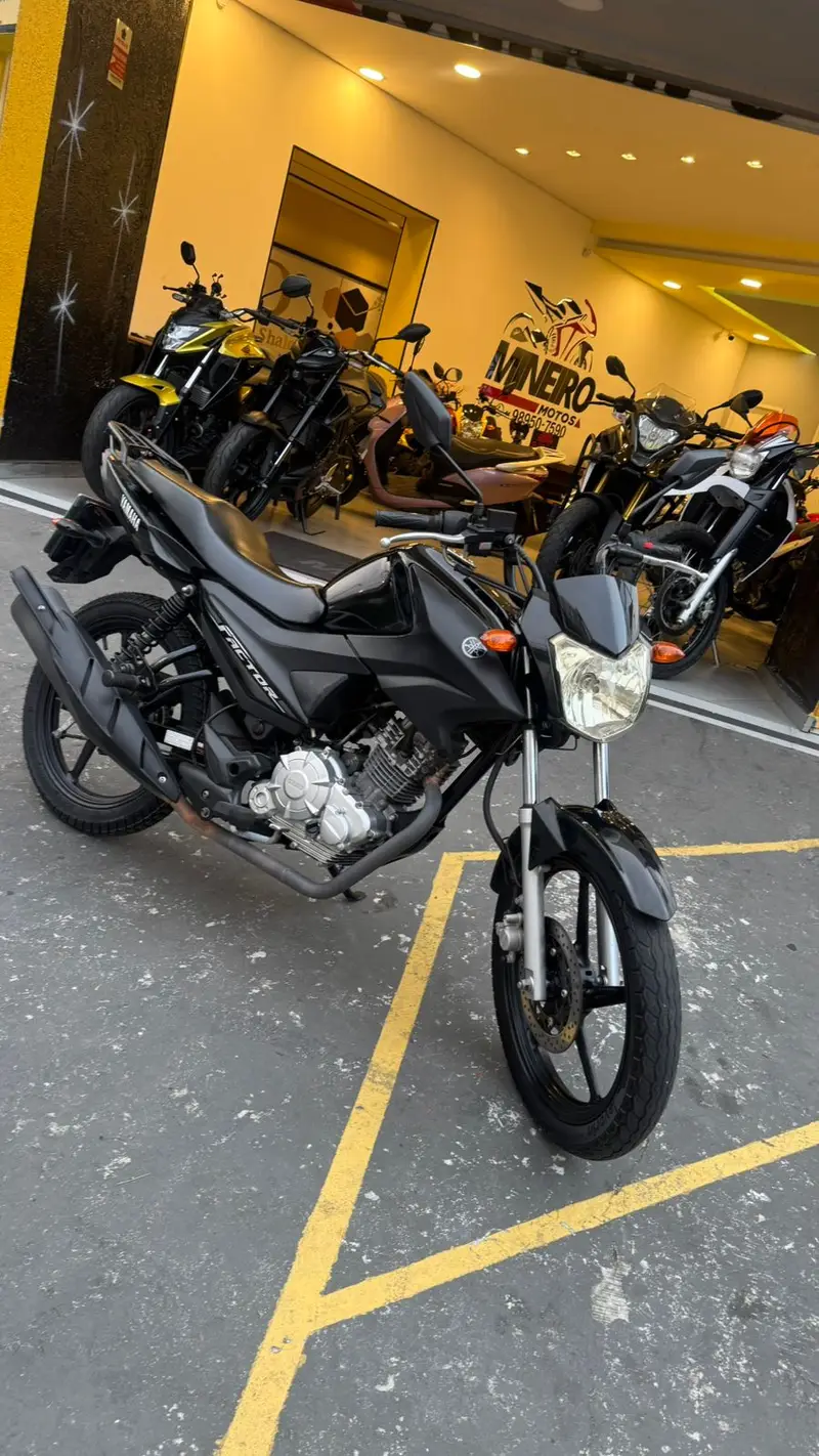 Yamaha Ybr 125 Factor ED (Flex)
