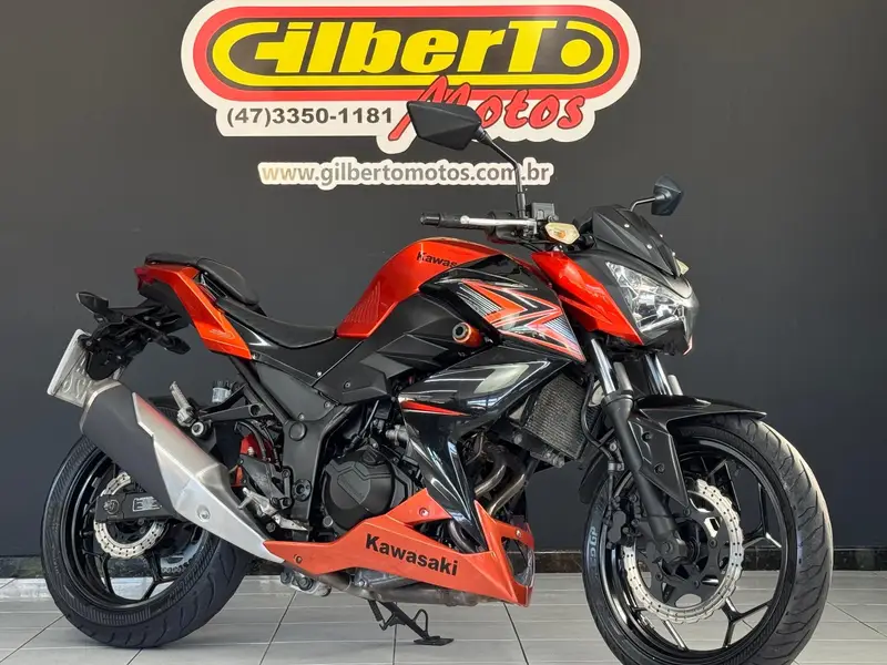 Kawasaki Z 300 Z 300
