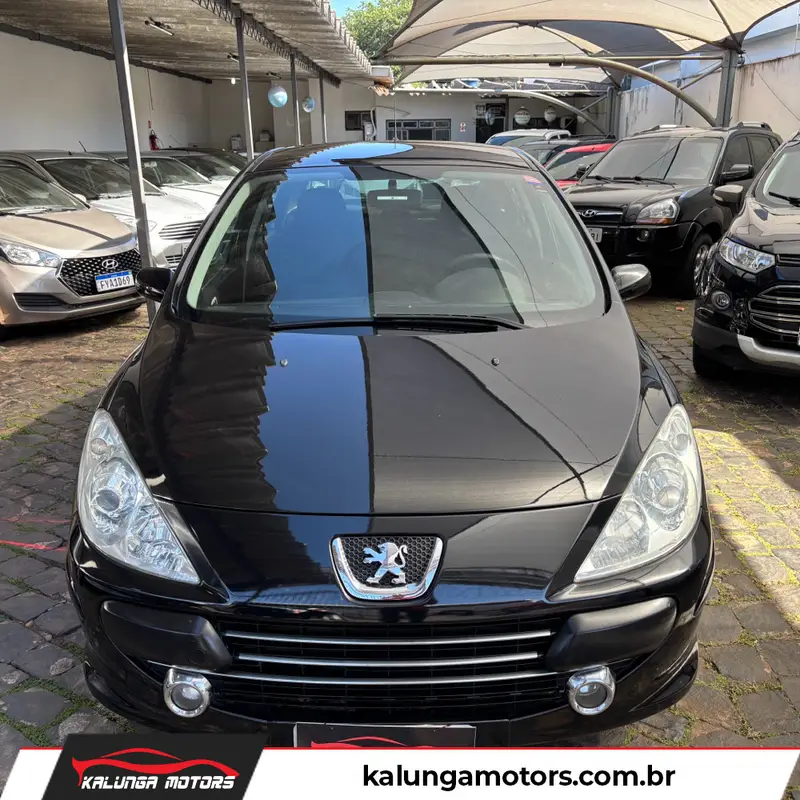 Peugeot 307 Hatch. Presence Pack 1.6 16V (flex)