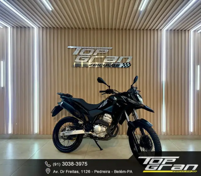 Carro Honda XRE 300 2019 (ABS) (Flex)