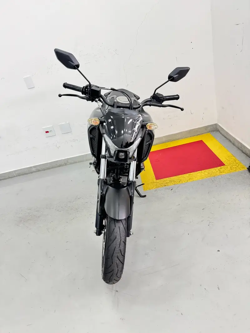 Yamaha YS 150 Fazer ED