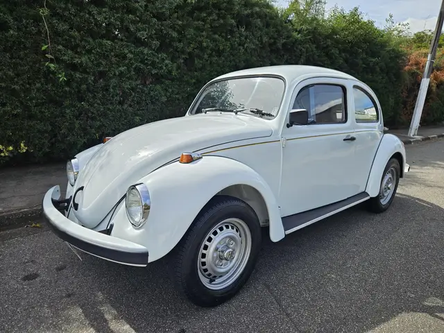 Carro Volkswagen Fusca 1995 1600