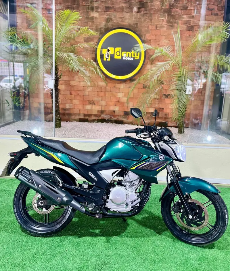 Yamaha YS 250 Fazer FAZER L. EDITION /BLUEFLEX