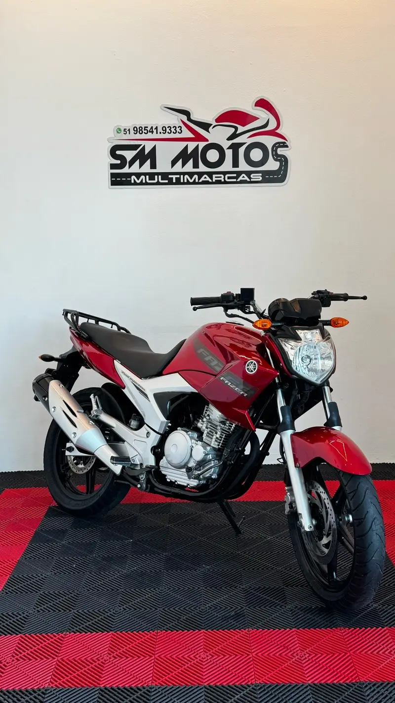Yamaha YS 250 Fazer YS 250 FAZER/ FAZER L. EDITION /BLUEFLEX