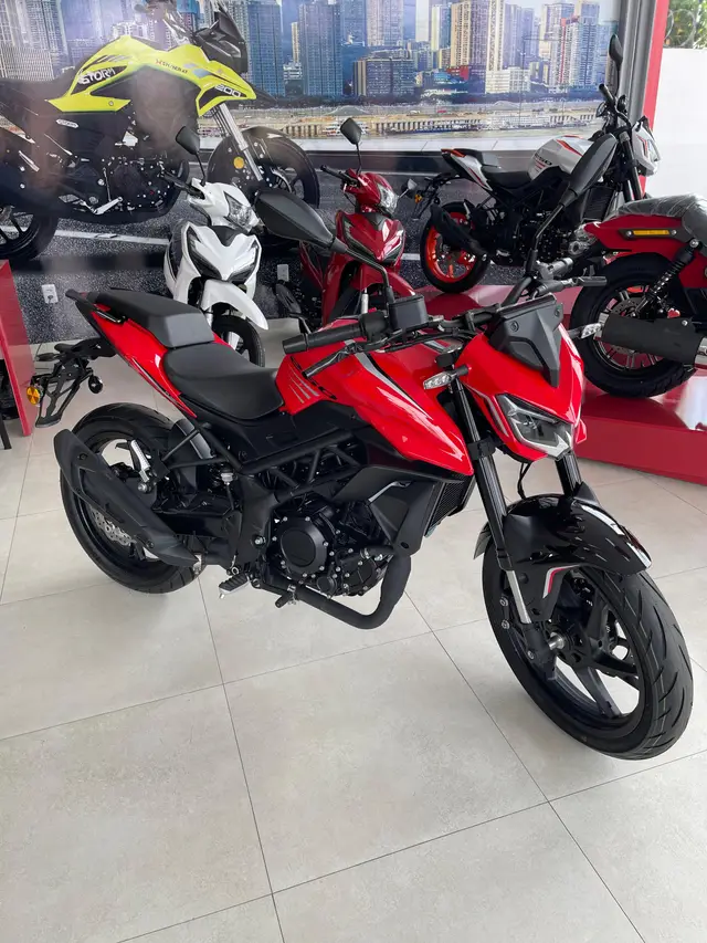Carro Shineray 250F 2025 250F