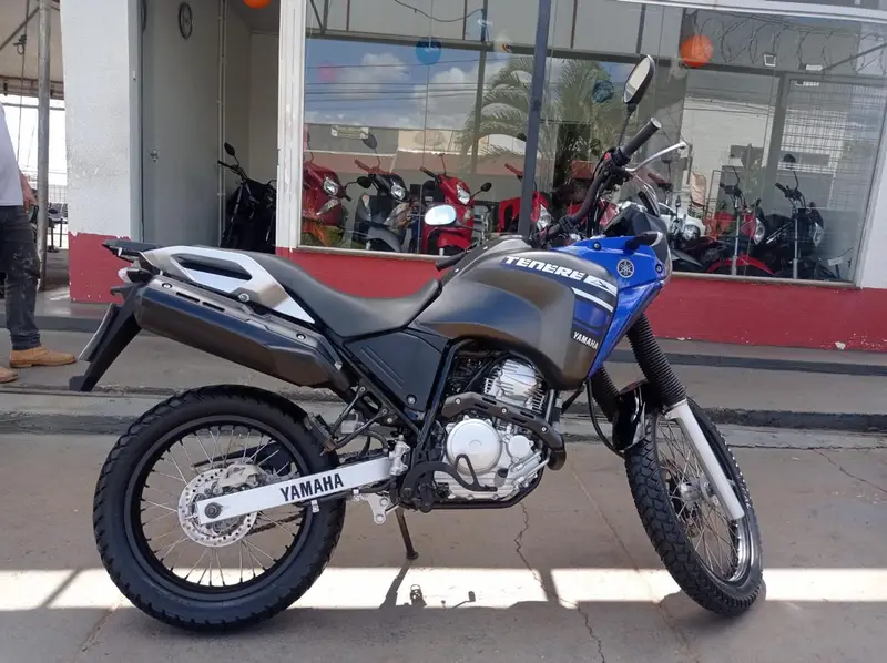 Yamaha XTZ 250 Ténéré Blueflex