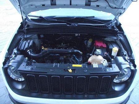 Renegade 1.8 (Aut) (Flex)
