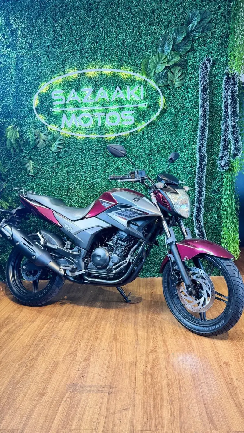 Yamaha YS 250 Fazer Blueflex