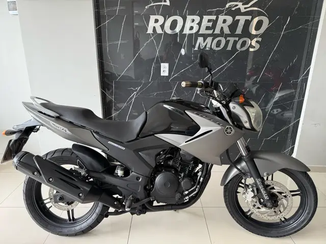 Carro Yamaha YS 250 Fazer 2013 Blueflex