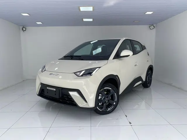 Carro BYD Dolphin Mini 2025 EV