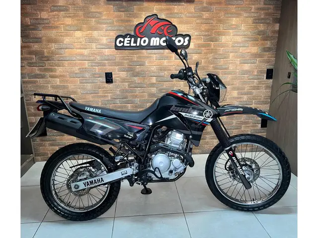 Carro Yamaha XTZ 250 Lander 2018 Blueflex