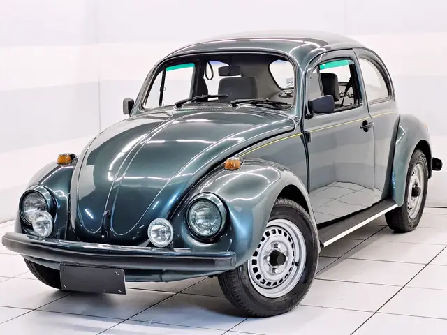 Carro Volkswagen Fusca 1994 1600