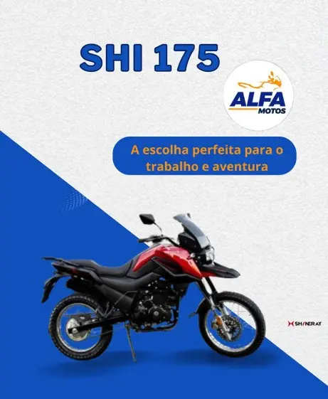 Carro Shineray SHI 175 2024 CBS
