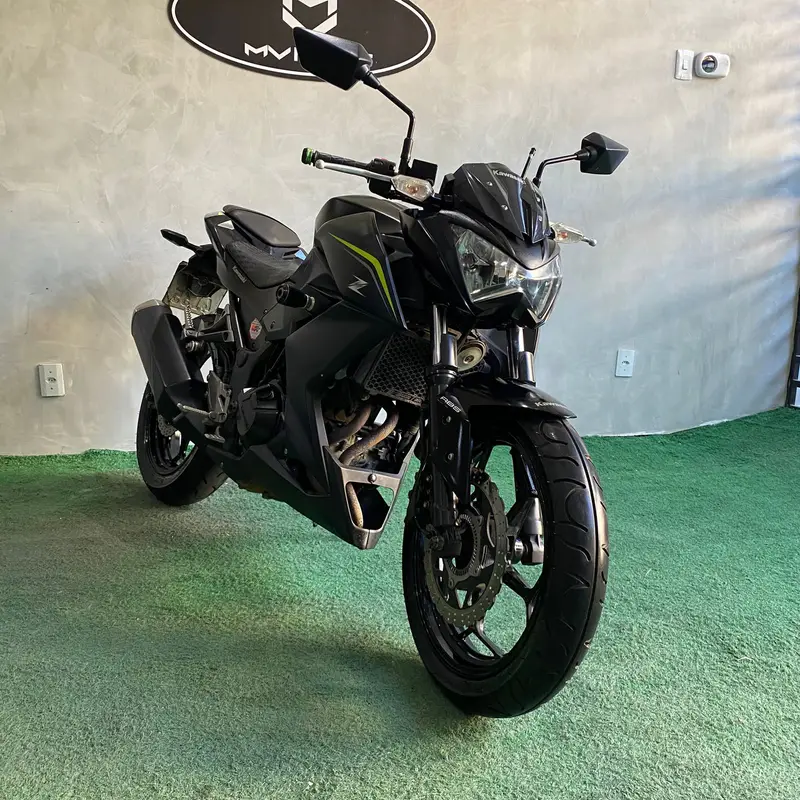 Kawasaki Z 300 296cc