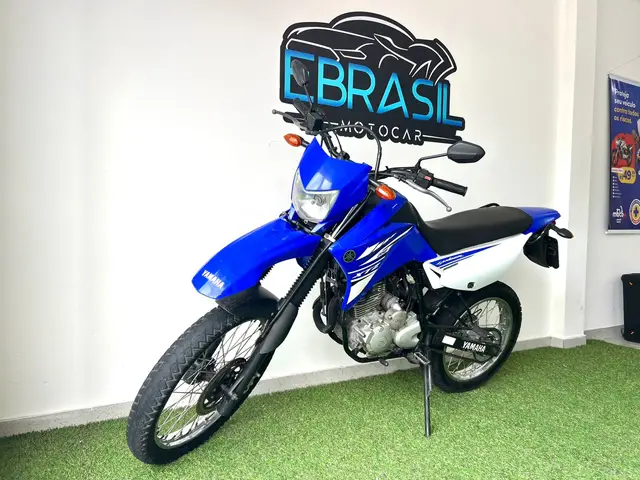 Carro Yamaha XTZ 250 Lander 2018 Blueflex