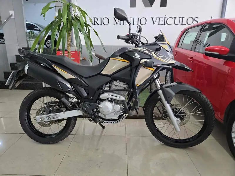 Honda XRE 300 (ABS) (Flex)
